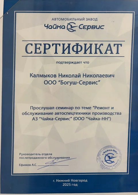 Сертификат обучения Николая Калмыкова — Чайка-Сервис